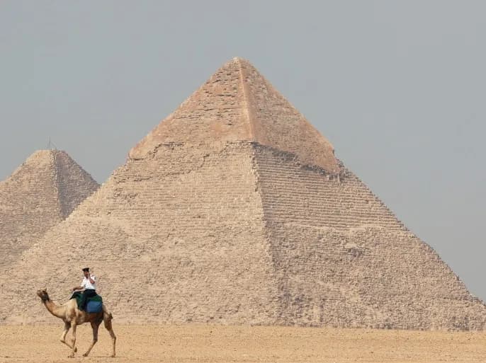 فيديو.. ظهور كلب أعلى قمة الهرم الأكبر في الجيزة!