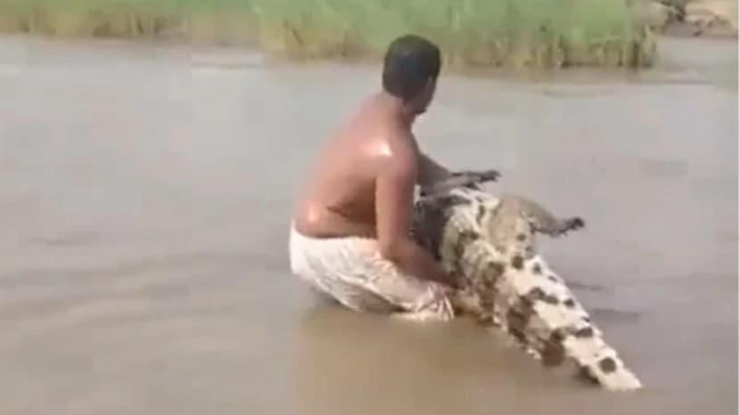 لعب مع الموت.. سوداني يواجه تمساحاً ضخماً وسط النيل