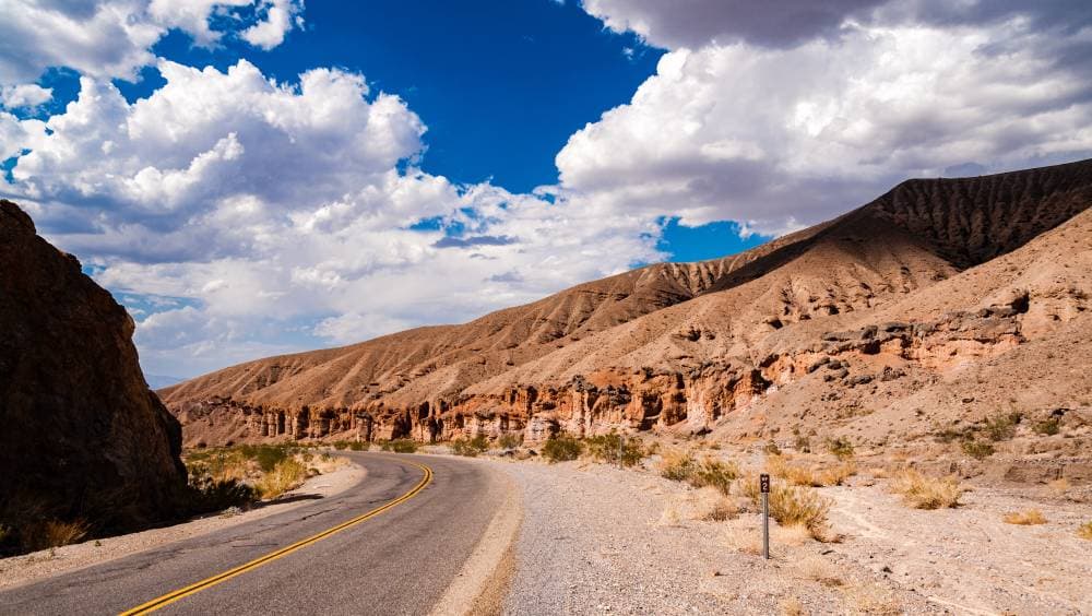 حادث مروري بأمريكا بسبب عناكب
