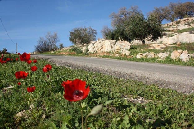 أجواء ربيعية والحرارة أعلى من معدلاتها بـ10 درجات ليومين