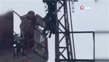 حاول سرقة عمود كهرباء فانتهت حياته بصاعقة