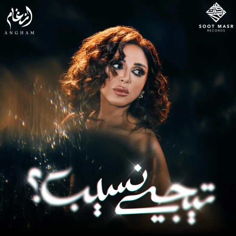 أنغام تطرح ألبوم "تيجي نسيب"
