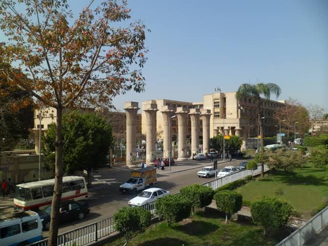 خريجة تطعن فرد أمن بـ "سكين" داخل جامعة مصرية