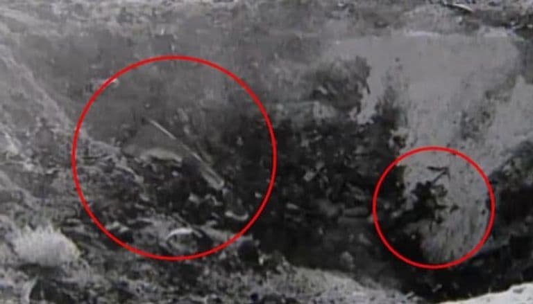 طبق طائر وجثث كائنات فضائية.. فيديو غامض يشعل التكهنات