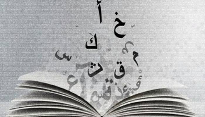 العلاقة بين اللغة والأدب وكيف يؤثران ببعضهما
