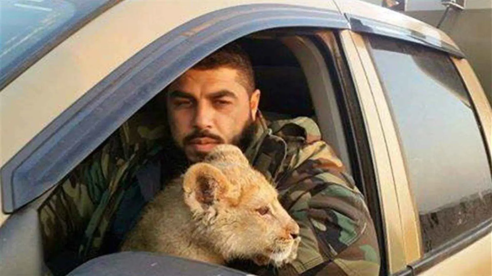 أطعم أسوده من لحم المعتقلين..البحث جاري عن الدقاق