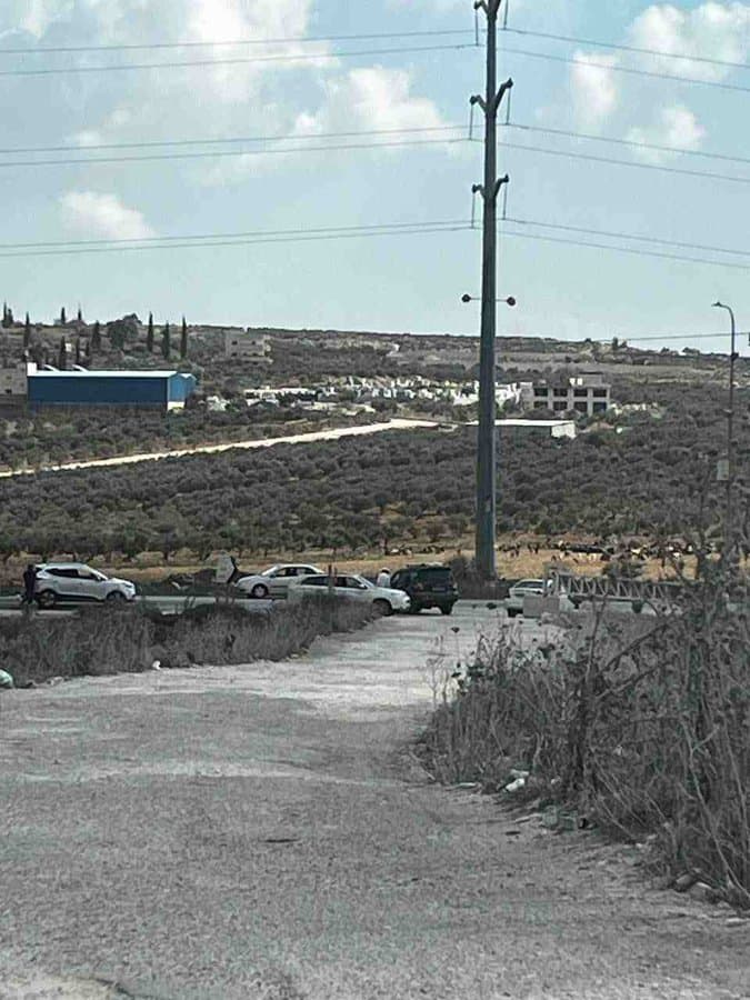 وسائل إعلام إسرائيلية: إصابة جنديين إسرائيليين في إطلاق نار بمنطقة البحر الميت