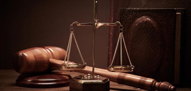 القضاء يعلن حكمه بقضية شخص قتل كلبا دفاعا عن طفله