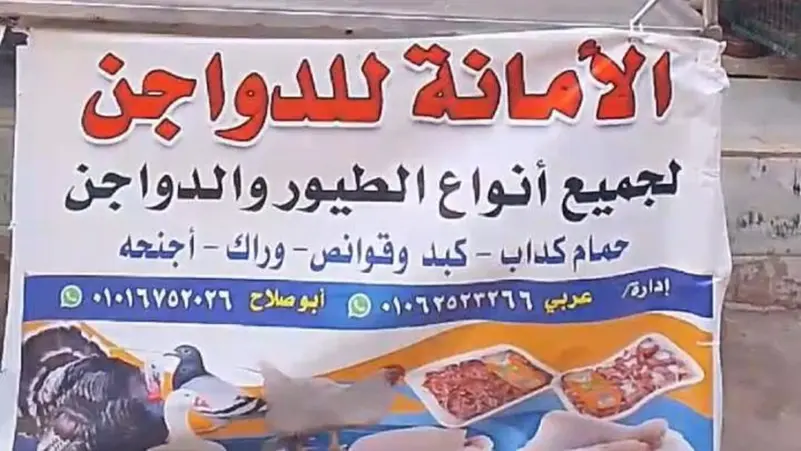 خفض أسعار الدواجن فأرداه قتيلاً.. مصر تبكي "شهيد الغلابة"
