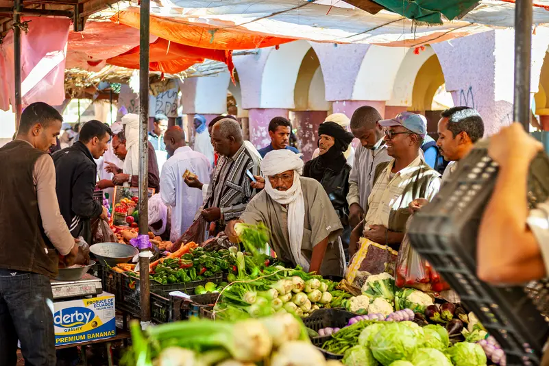 تصريح سفير أنقرة أن 20% من الجزائريين من أصول تركية يفجر موجة غضب