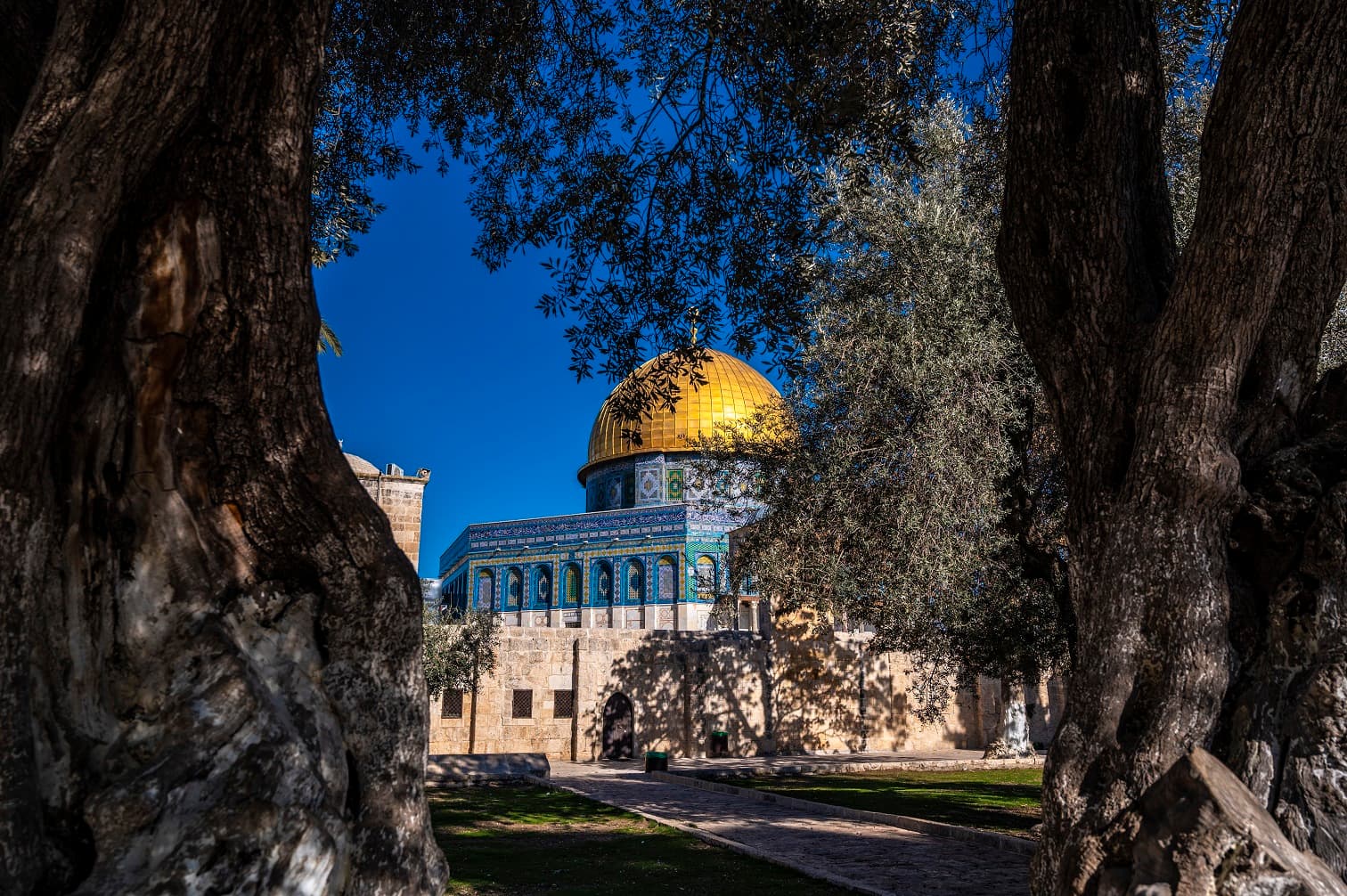 ترحيب أردني بقرار اليونسكو حول البلدة القديمة في القدس