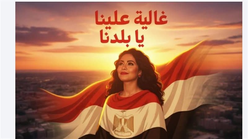 بعد أزمتها الأخيرة.. شيرين عبد الوهاب تعلن عن مفاجأة فنية جديدة