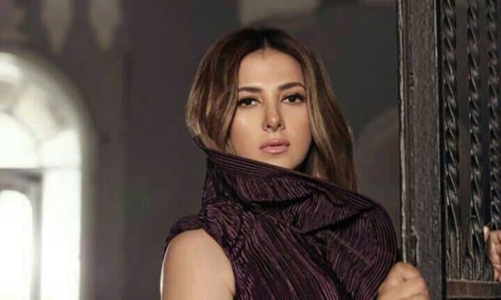 دنيا سمير غانم تنشر صور ودعاء دعماً للشعب الفلسطيني