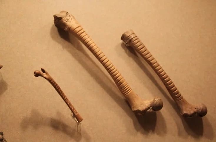 صورة 1