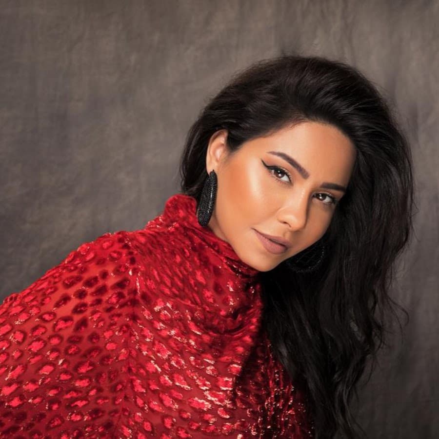 زيارة الشاعر بهاء الدين محمد لشيرين