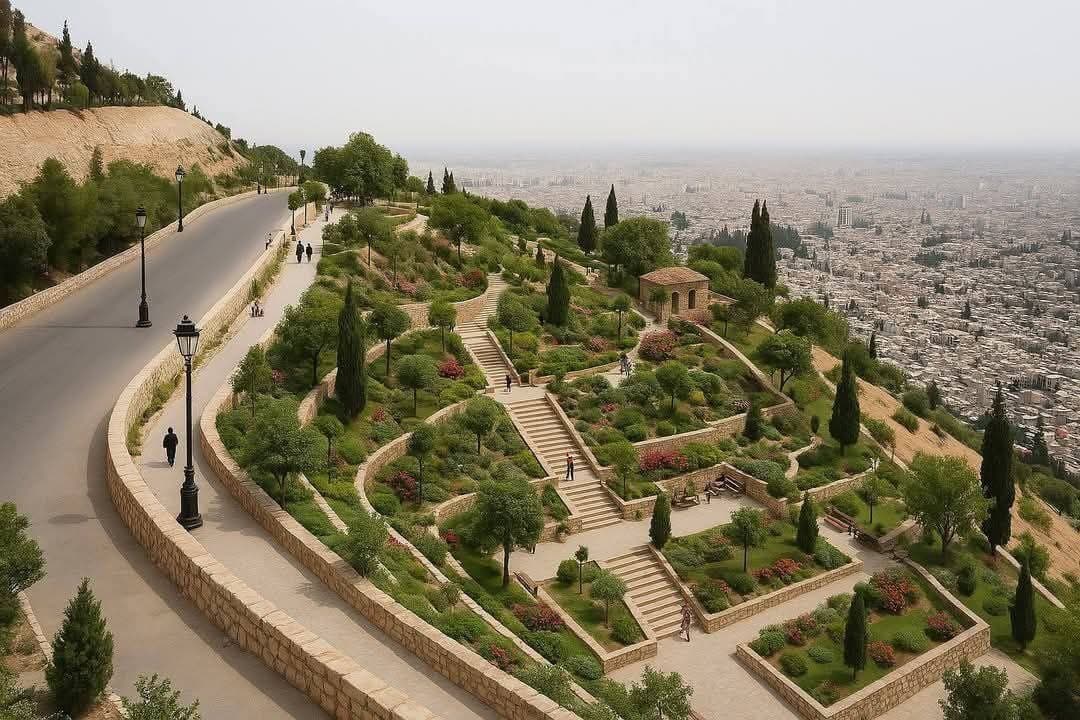 صورة 1