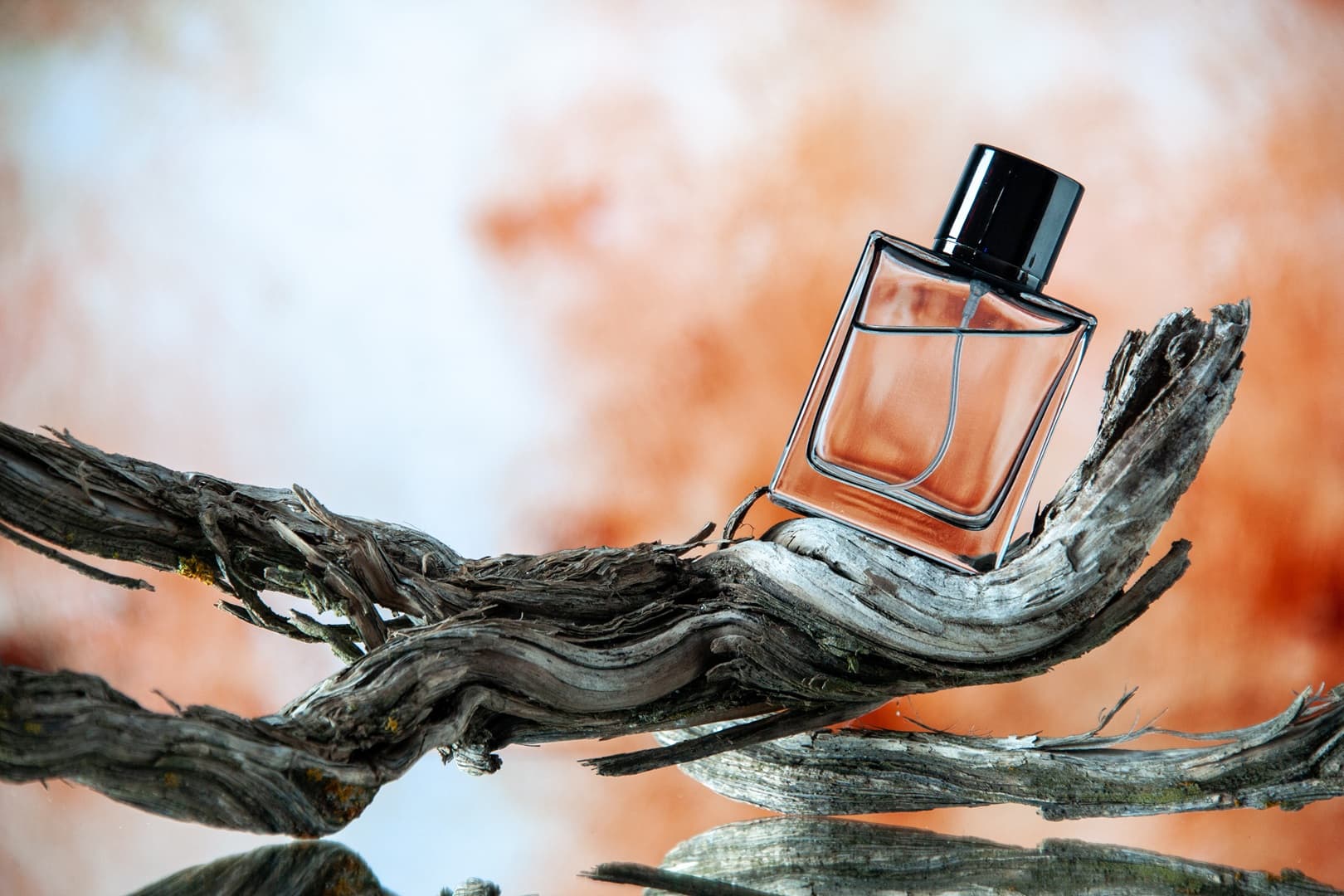 عطور المسك الأكثر أناقة وثباتًا.. خيارات تمنحك حضورًا يدوم