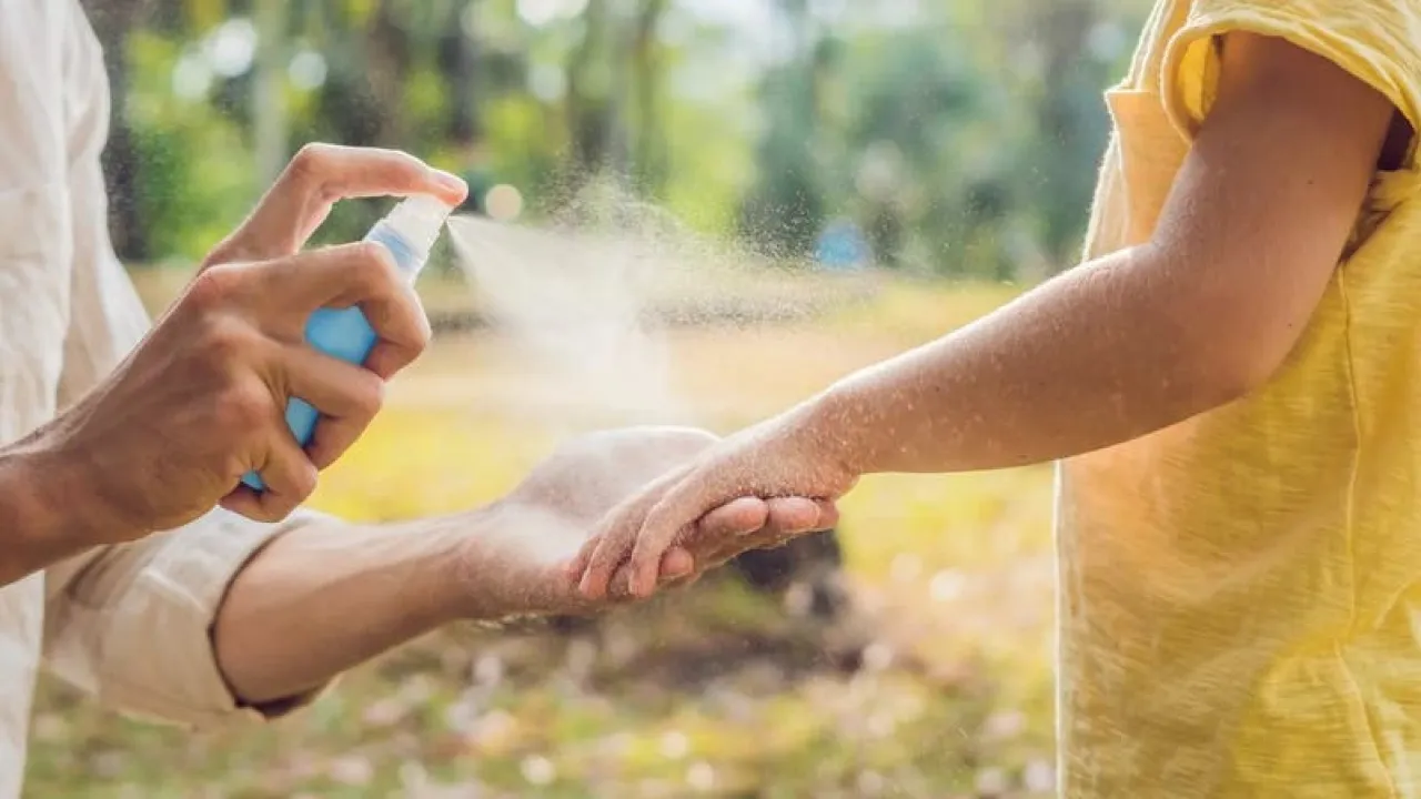 6 أسلحة فعالة منزلية الصنع لطرد البعوض