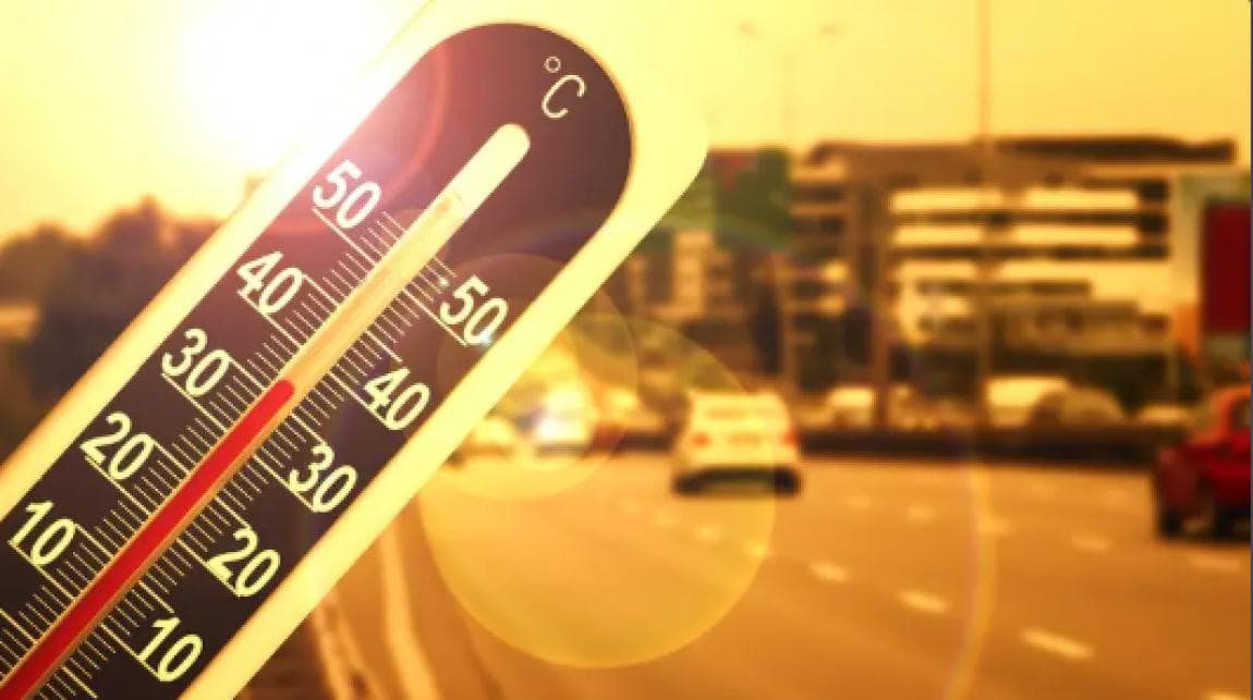 دراسة تكشف آثارا غير متوقعة لموجات الحر